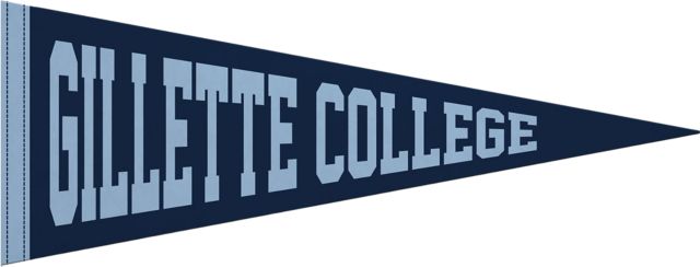 Northern Wyoming Community College  9x24 Pennant